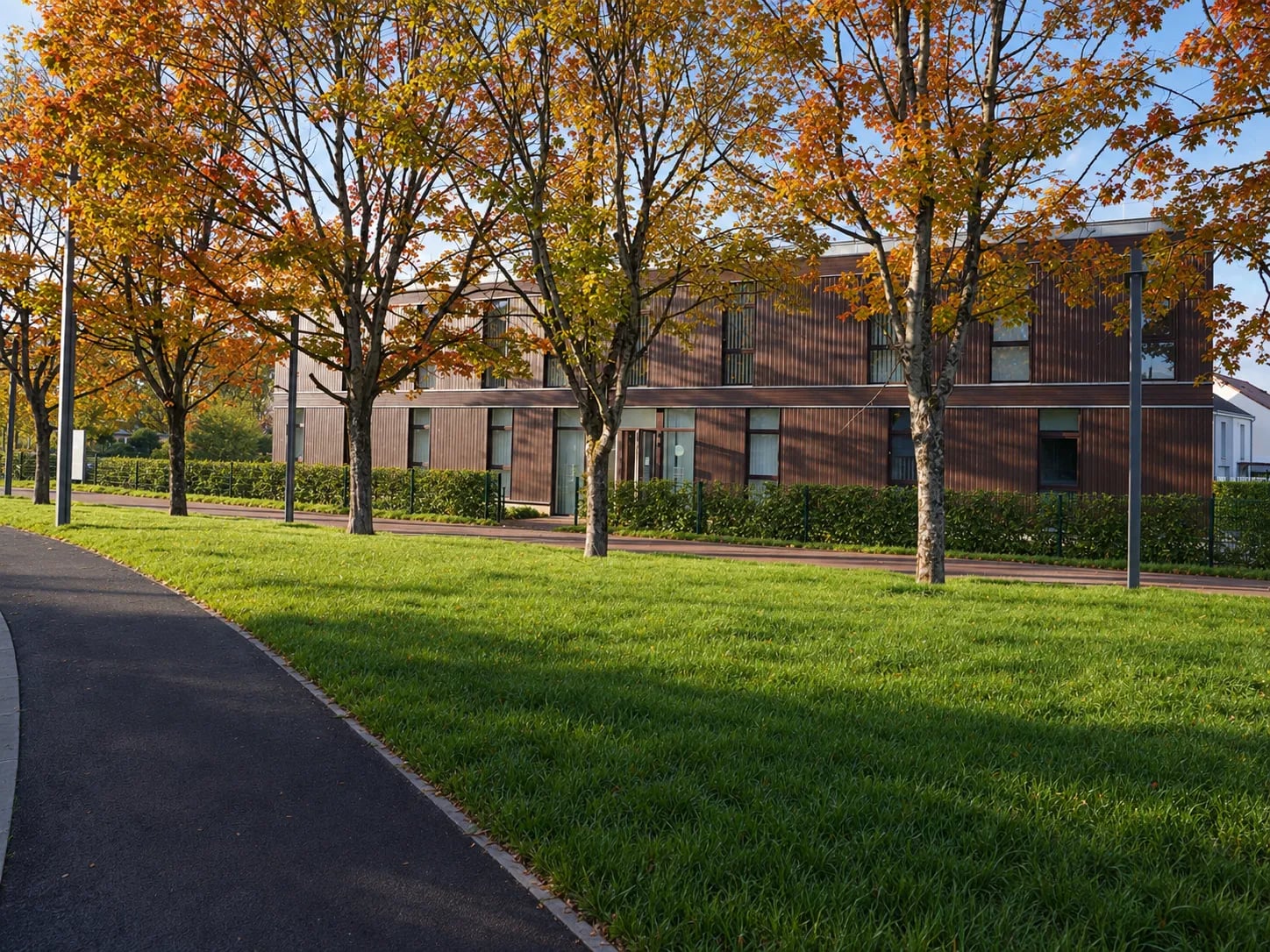 Le Pôle Ophtalmo Melun à l'automne, bâtiment en bardage bois bordé d'érables et de pelouse